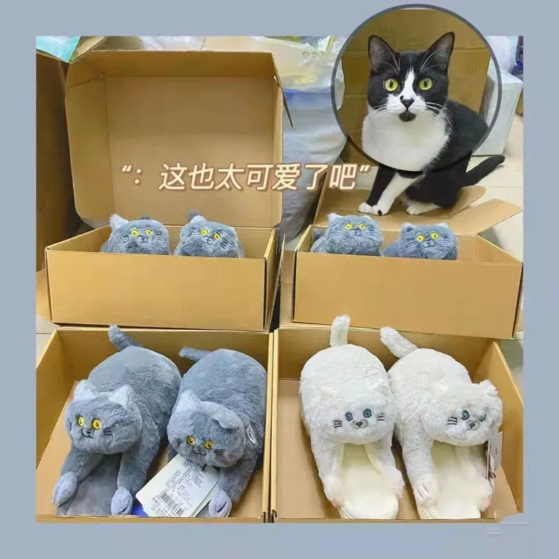peludas gato de diseño para niñas, chanclas divertidas y esponjosas para el hogar, zapatos Kawaii para interiores, zapatillas de gato de dibujos | - AliExpress