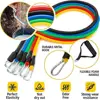 11Pcs/Set Portable TPE Tension Rope Set Anti-Break Durable Resistance Band Set Workout Bands Colorful Elastic Training Band 2