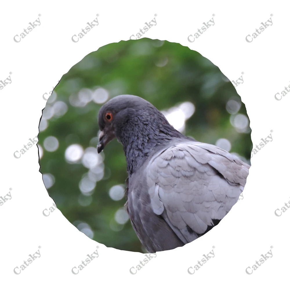 ���� ��ѱ� ����Ʈ ����� Ÿ�̾� Ŀ��, ��� Ÿ�̾� �� ��ȣ��, �ڵ��� Ʈ�� SUV ķ�� Ʈ���Ϸ���, Rv 14 ��ġ-17 ��ġ