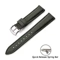 Green-Silver Buckle