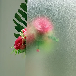 IMG_20181007_135120