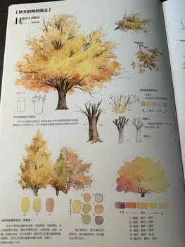 2025 Nuovo libro tutorial sull'acquerello per principianti Paesaggio Giardino di fiori Libri di abilità di disegno di paesaggi, dimensioni grandi: 37 * 26 cm