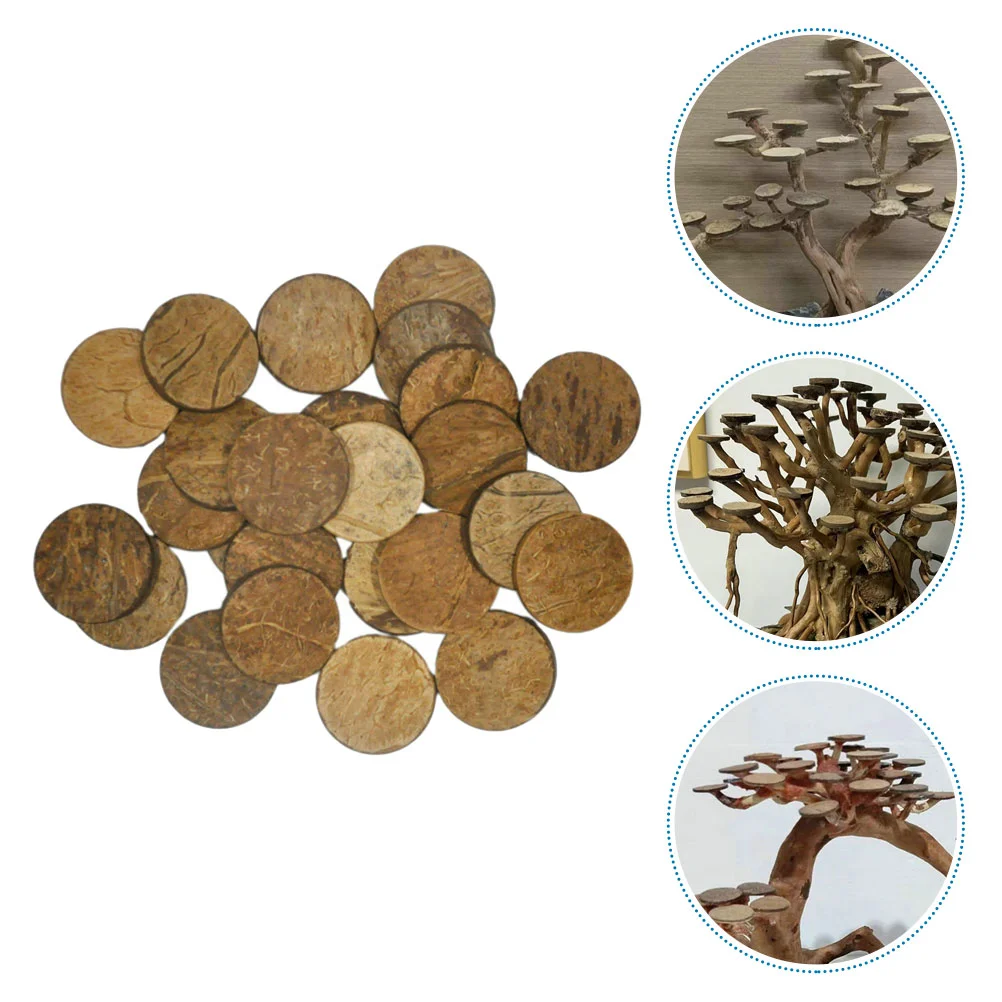 50Pcs Coconut Shell Discs Coconuts Shell For Crafts Round Coconuts Fish Tank Ornaments Chip Fish Tank Decor fish tank ornaments fish tank decorations aquarium ornaments