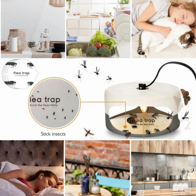 Kártevővezérlés Bolhacsorda Matrica Szagtalan, Nem Mérgező Biztonságos Légy És Bolhacsapdás Izzó Elektromos Lámpa Fogó Otthoni Házba Belsejében