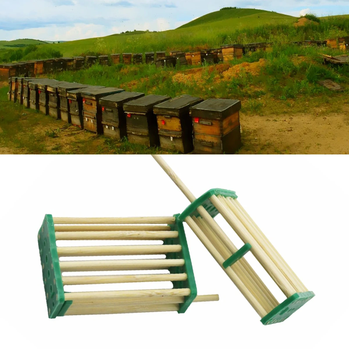 10Pcs Box-Shaped Bamboo Imprisoning Queen Cage No Hurting Bee Queen Rearing Cage Thickened Closing Beekeeping Tools