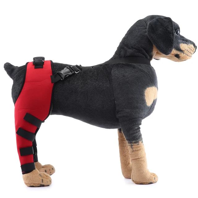 Recover in comfort and style with Pet Puppy Knee Pads