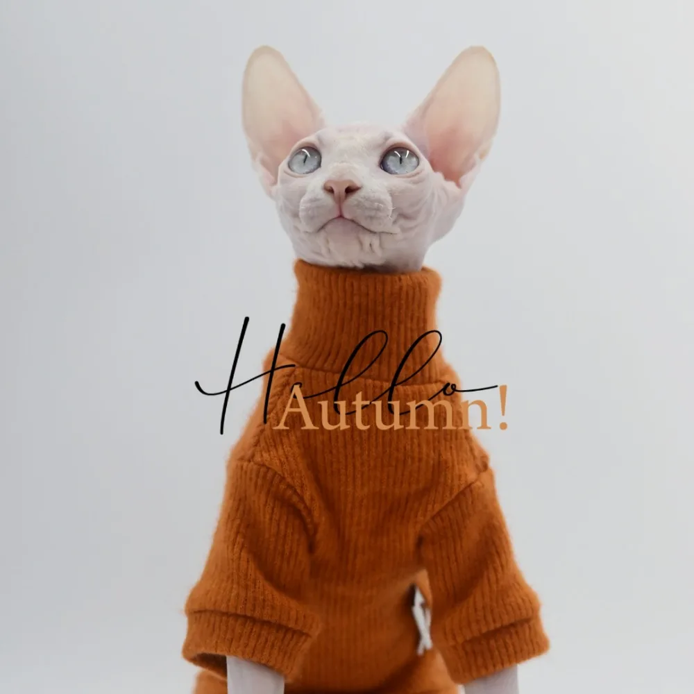 Luxury Knitted Cat Winter Coat  Fashionable Designer Cat Clothes