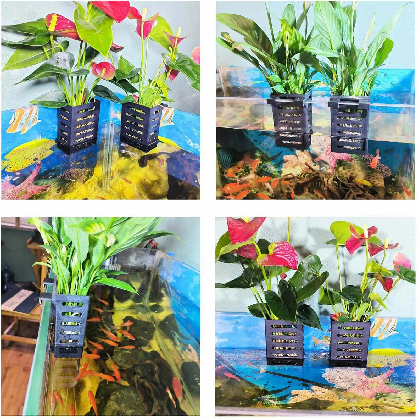 Durable Hanging Bracket for Aquatic Plant Display in Fish Tanks