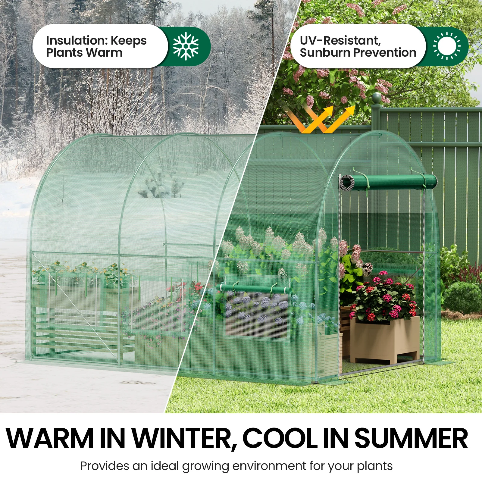 Large Walk-In Greenhouse 3