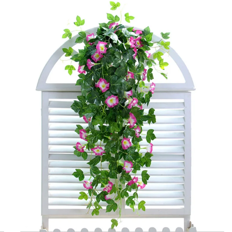 3805978656_1221198793