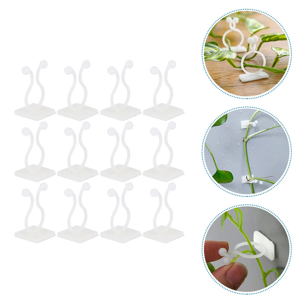 

100pcs Wall Clip Vine Plant Support Money Plant Holder Climbing Plant Wall Fixture Clips