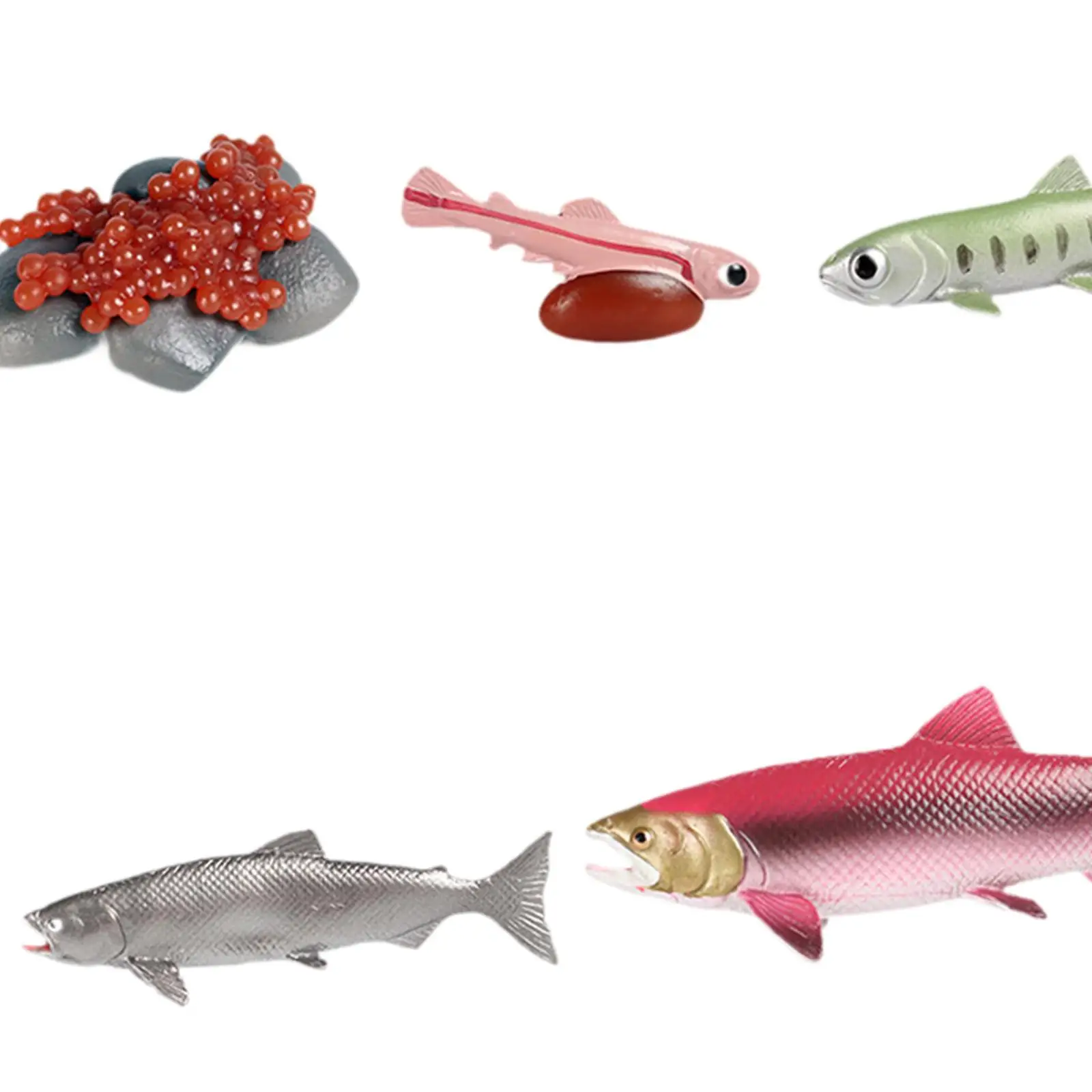 Life Cycle of Salmon Toys Teaching Tools Farm Animals Figurines for Storytelling Presentations Daycare Role Play Birthday Gifts 5