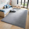 Soft Carpet For Living Room Sofa Area Thick Coral Velvet Rug Tatami Mat Large Bedroom Bedside Rugs Dormitory Floor Rug Yoga Pad 2