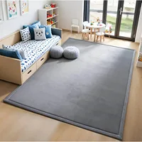 Soft Carpet For Living Room Sofa Area Thick Coral Velvet Rug Tatami Mat Large Bedroom Bedside Rugs Dormitory Floor Rug Yoga Pad 2