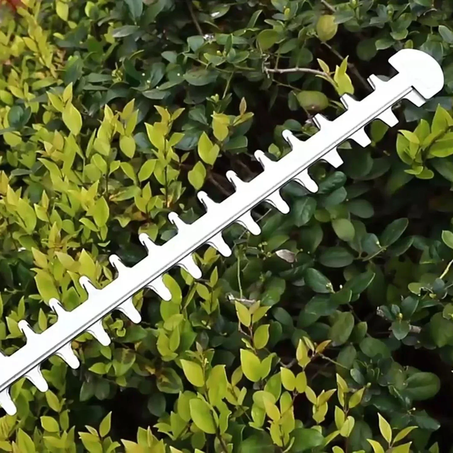 40V Cordless Lithium Battery Powered Garden Hedge Trimmer For Branches Cutting Use