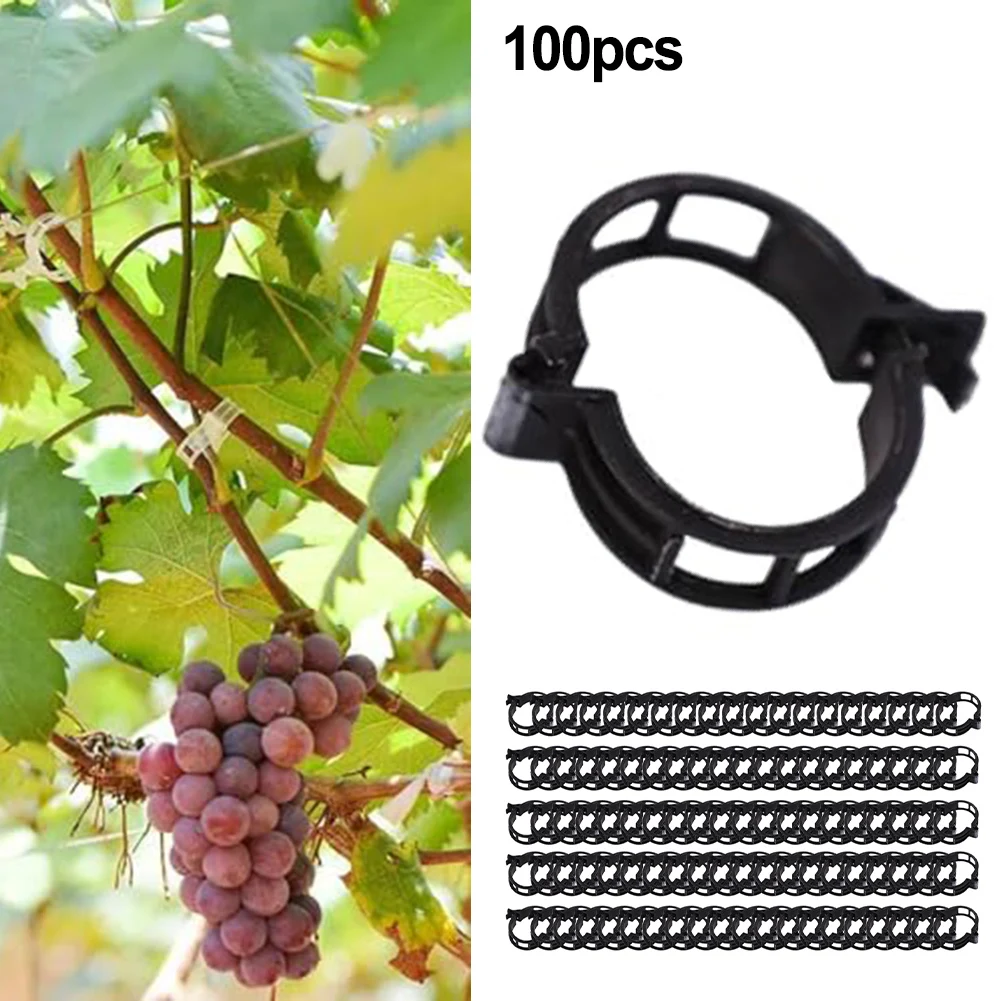 

100pcs Plastic Plant Support Clips Reusable Plant Vine Connects Fixing Tool Vegetable Tomato Grafting Protect Garden Supplies