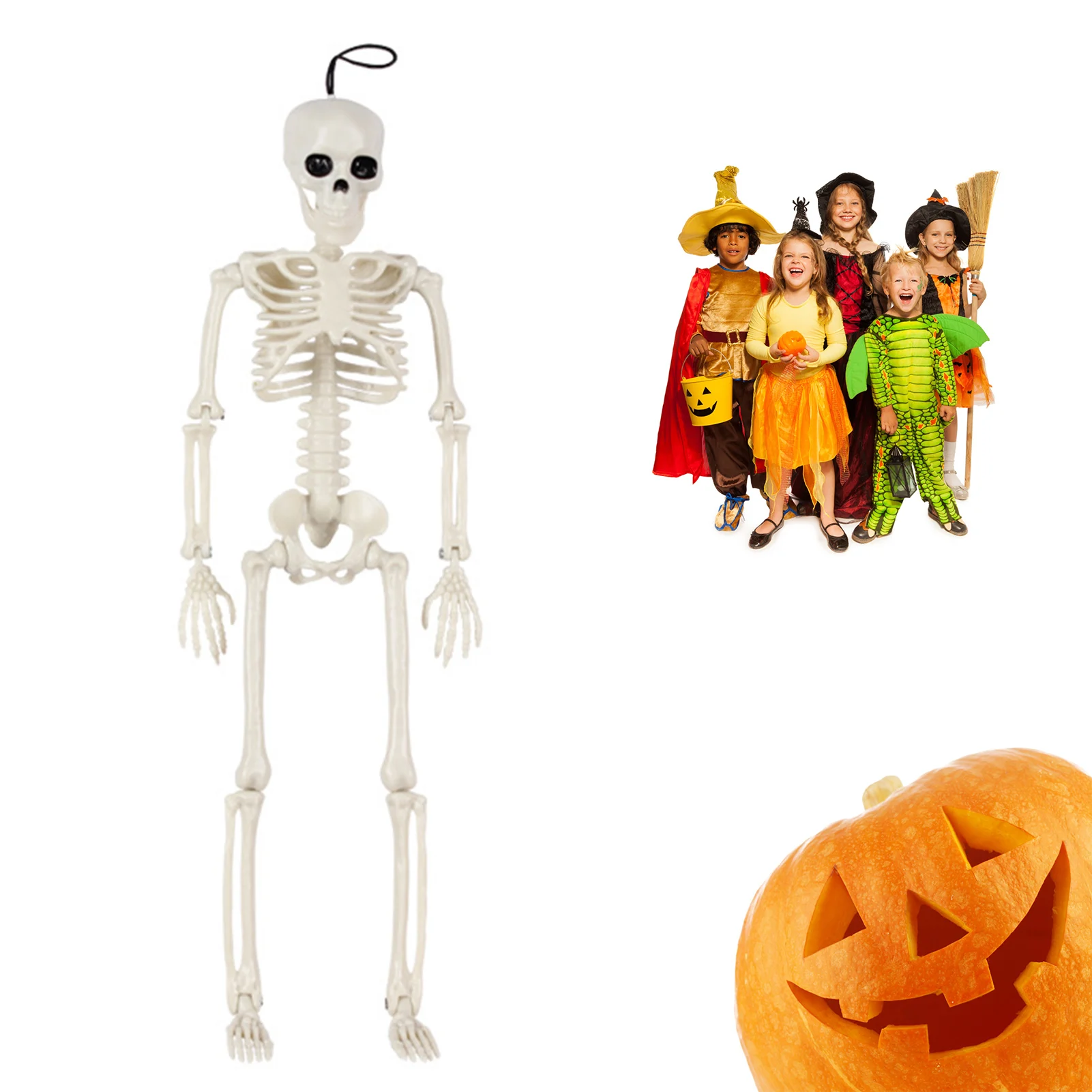 Halloween Life Size Skeleton Full Body 40cm Posable Decor with Movable Joints For Haunted Houses Cemeteries