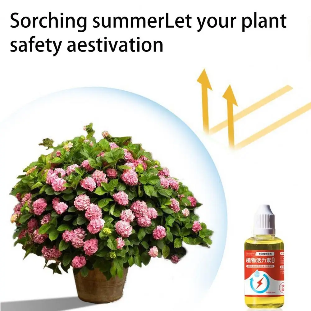 Plant fertilizing concentrate Rapid Flowering Full of Vitality Growth Decay Alleviation Plant Nutrient Balcony Supply
