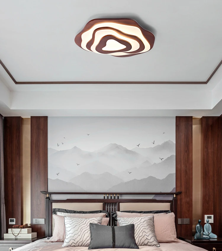 Modern Design Ceiling Lamp