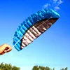 2.5m Dual Line Stunt Power Parachute Kite Soft Kite Parafoil Kitesurf Fly Outdoor Beach Fun Sports Kiteboard Beginner Toys 1