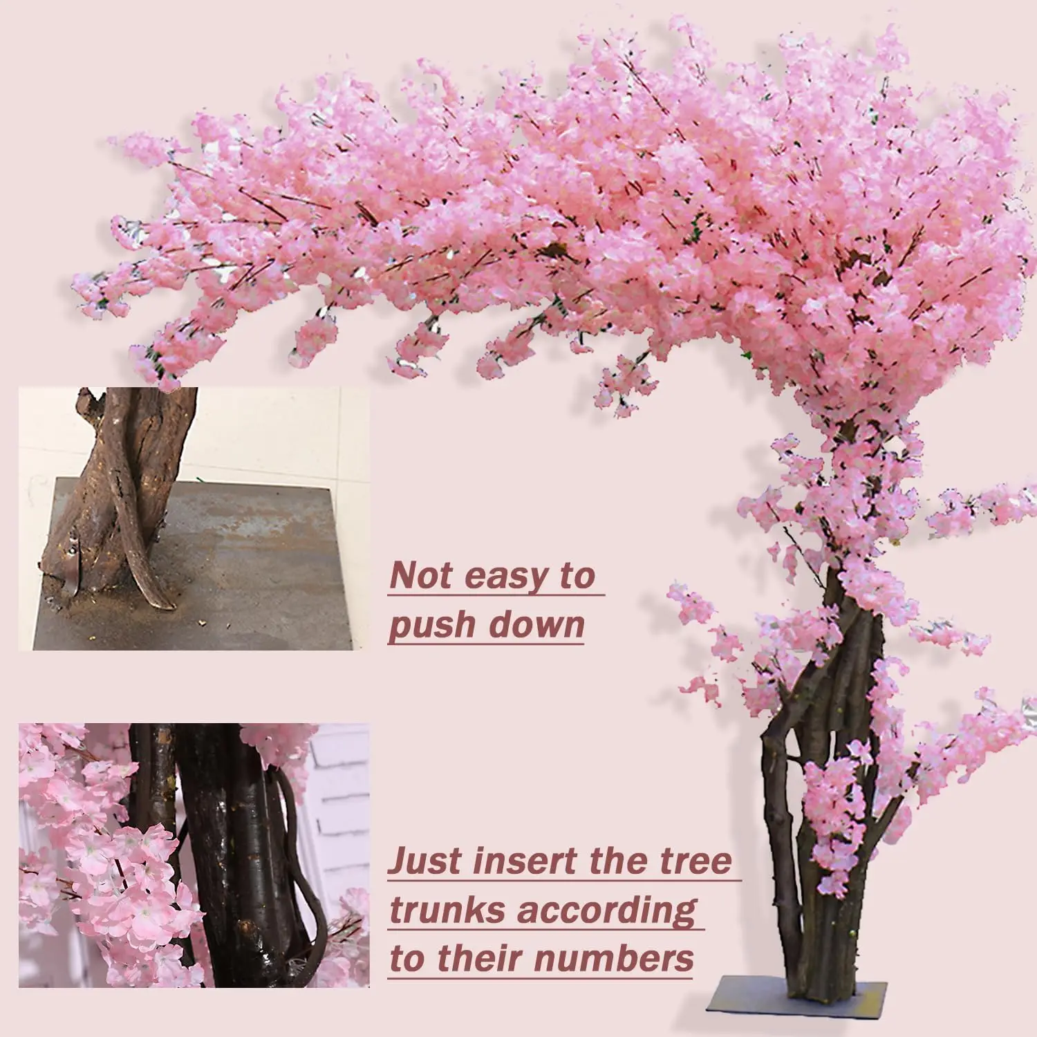 Treinamento e poda da árvore da fruta do dragão | Wikifarmer, image size:1500x1500