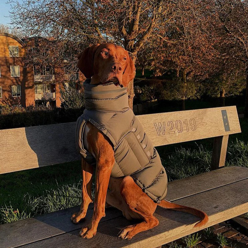 Pet Dog Thicken Vest Coat 2-Leg Design Dog Jacket Outfit Windproof Waterproof Puppy Jumpsuit Adjustable Winter Warm Clothes