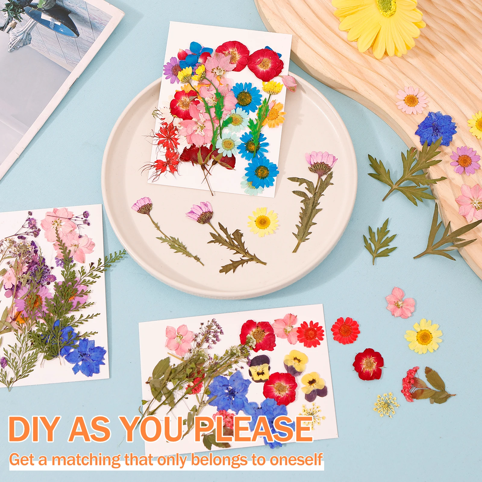 Getrocknete Blumen DIY gepresste Blumen Aufkleber 104/96/94pcs echte natürliche drückende Blumen blätter für DIY machen Kunst dekoration nach Hause – Detail 10