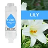 Lily