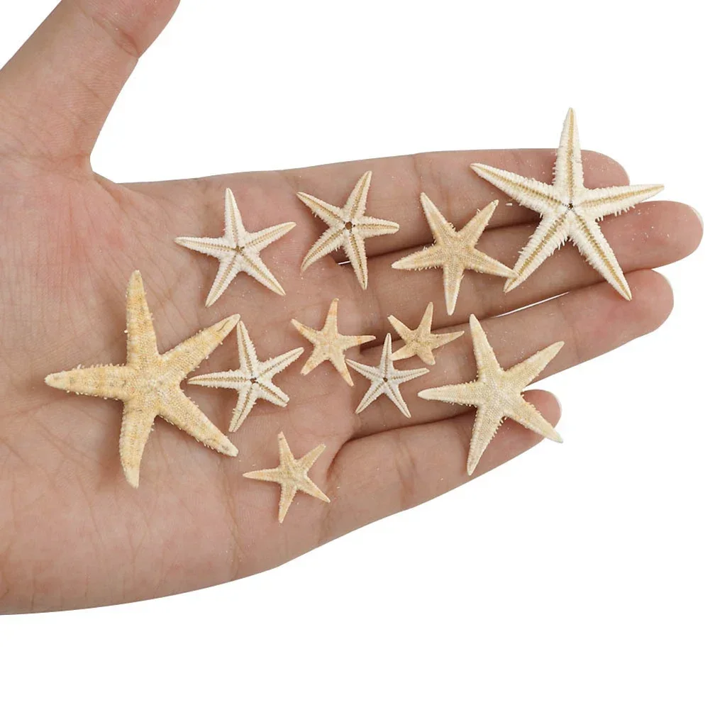 Natural Starfish Box Decoration Fish Tank Landscape Materials DIY Beach Crafts Home Decorations 20/50/100pcs resin starfish ornaments