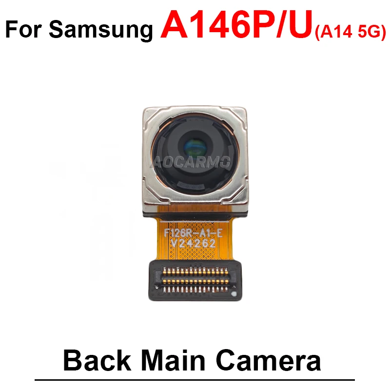 A146P--Back Main