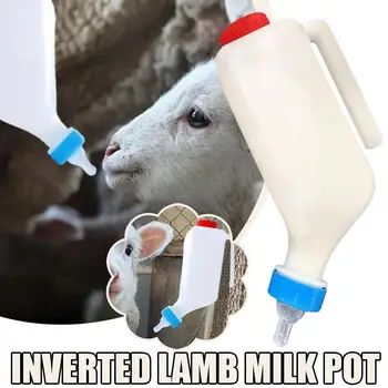 Livestock Milk Feeding Bottle 1