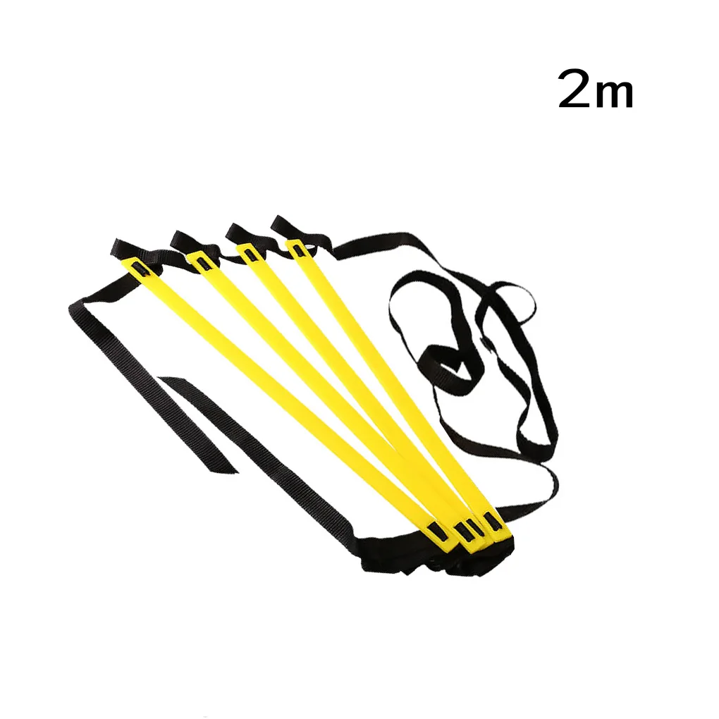 2M 4Rung