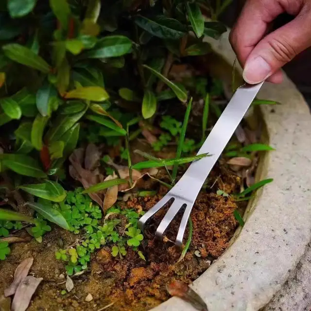 Bonsai Rake Tool - 3-Prong Stainless Steel Soil Rake With Ergonomic Handle For Loosening & Weeding