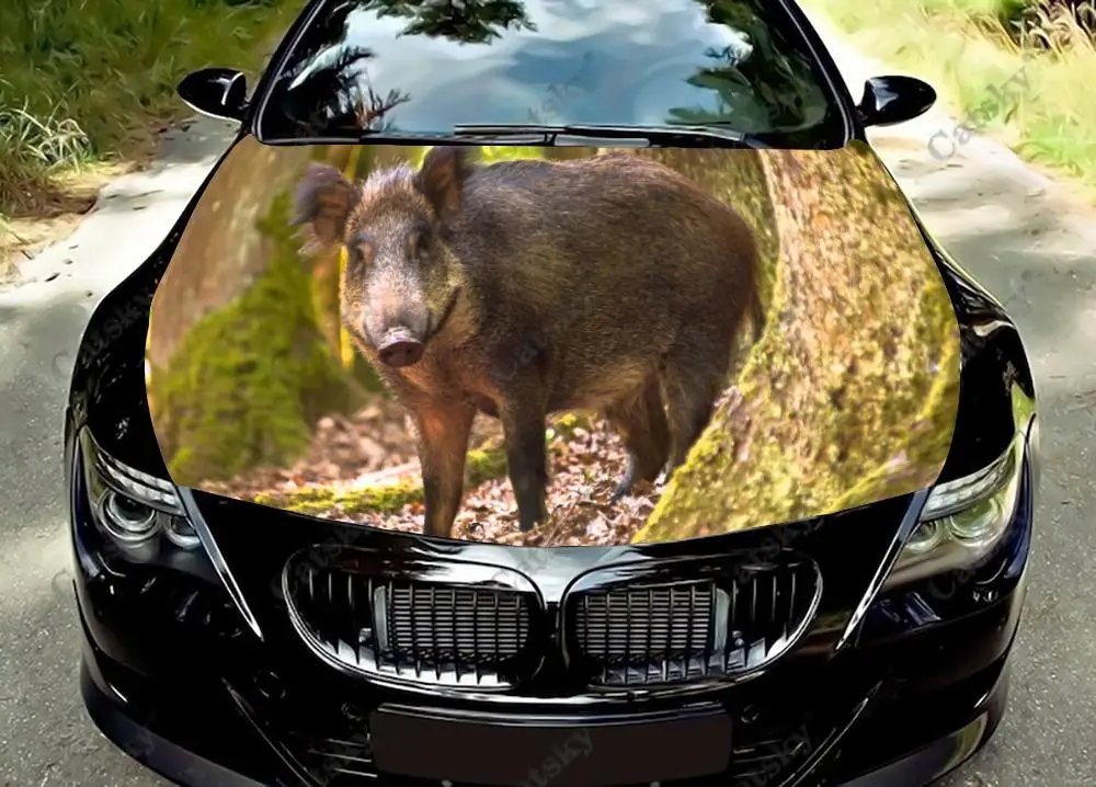 

Виниловая наклейка на капот автомобиля в виде дикого кабана