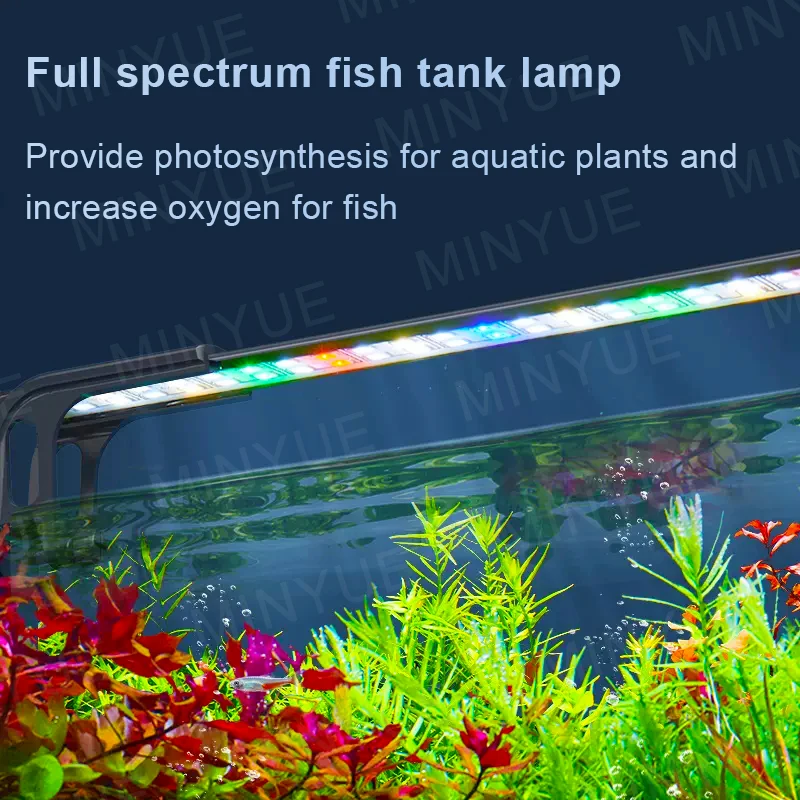 BPS Luz LED para Acuario Lámpara de Acuario 4000K Impermeable con Soporte  Extensible Iluminación led Superfina para acuario, luz para plantas  acuáticas, 20-65cm, Extensible, impermeable, con Clip, para pecera, 5-25w