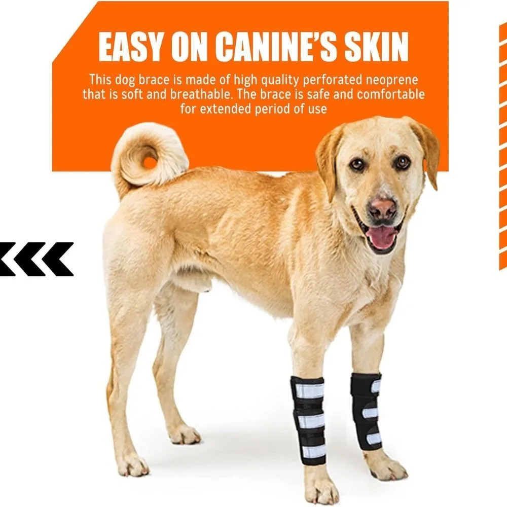 1PC Metal Strips Dog Front Leg Brace Reflective Strips Non-Slip Joint Support Breathable Adjustable Straps Knee Brace 5