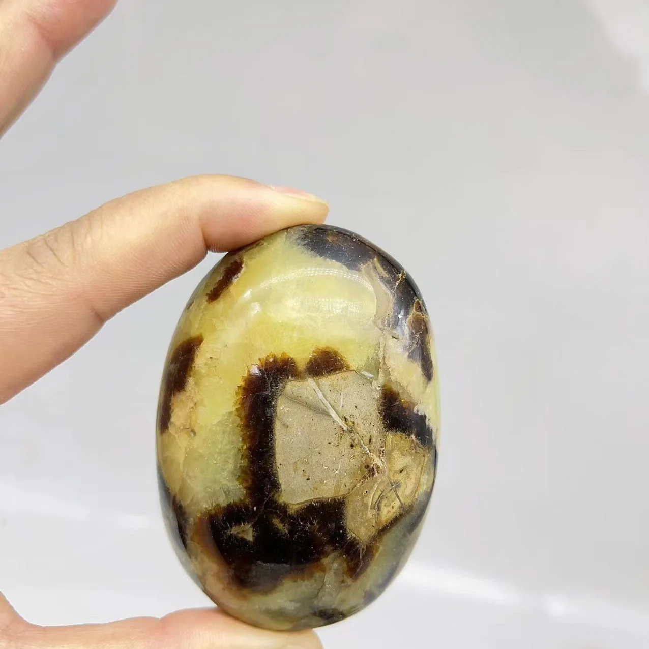 Pietra Di Palma Di Quarzo Di Cristallo Naturale Di Pietra Di Palma Di Sepatrio Giallo Naturale Per La Decorazione