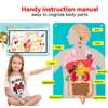 Human Body Organ Educational Learning Board Body Parts Learning Wall Chart for Kid Felt Preschool Kindergarten Teaching Supplies 3