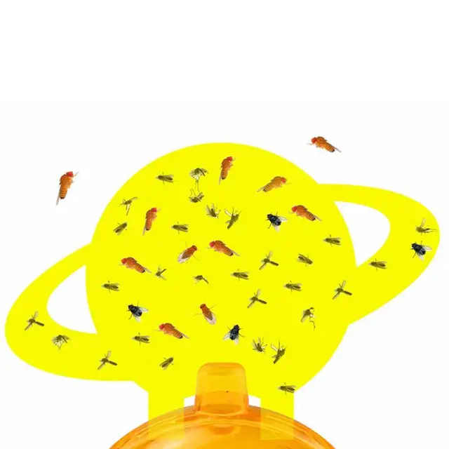 Gyümölcsleples Csapdák Beltéri Gnat Fogó Készlet Könnyen Megtisztíthatók Háztartási Készletek Rovarcsapdát A Kempinghez Kültéri - Image 3