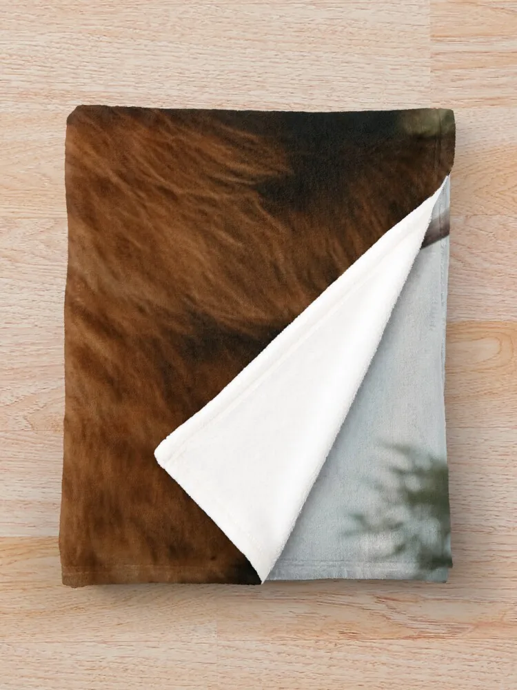 ȣ��� ���� ���̷��� �ϼ� ������ ���, ��Ƽ�� ����, ���ſ� ħ�� ���� ���� ���