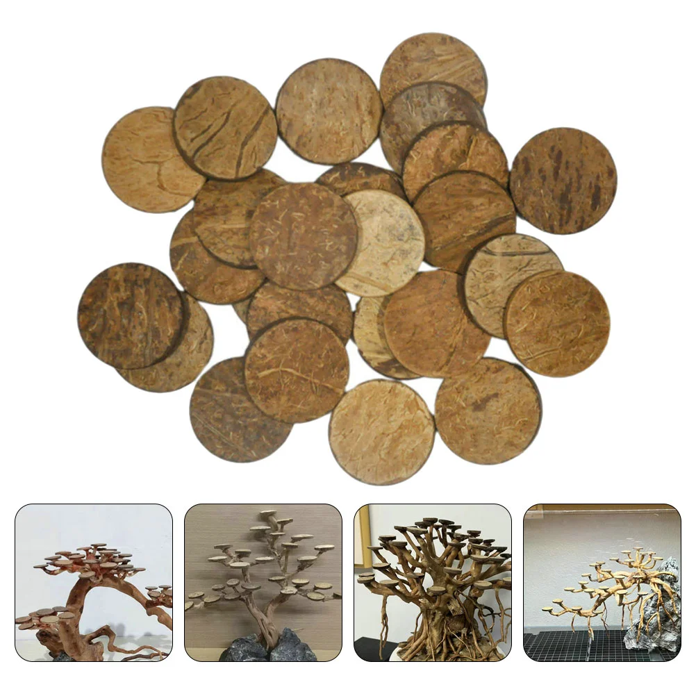 50Pcs Coconut Shell Discs Coconuts Shell For Crafts Round Coconuts Fish Tank Ornaments Chip Fish Tank Decor fish tank ornaments fish tank decorations aquarium ornaments