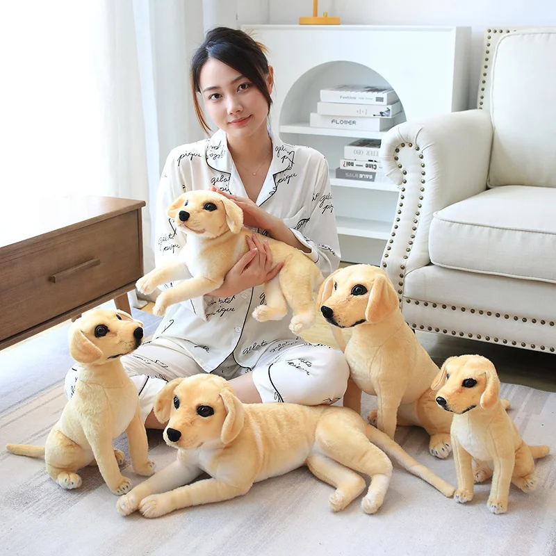S068e6bbd271d46bc8b385d0d803a8184o - Labrador Merch