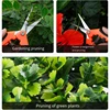 Garden Stainless Steel Flower Scissors Gardening Shears Fruit Grape Thinning Pruning Shears Straight Elbow Gardening Scissors 5
