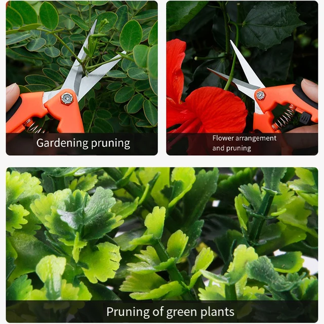 Garden Stainless Steel Flower Scissors Gardening Shears Fruit Grape Thinning Pruning Shears Straight Elbow Gardening Scissors 5