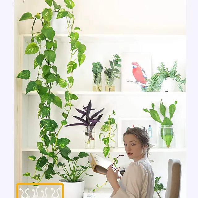 10-30 Darabos Növényi Hegymászó Fali Rögzítő Klipek Ön Adagoló Szőlő Tartó Kerti Falak Ragacsos Horog - Image 6