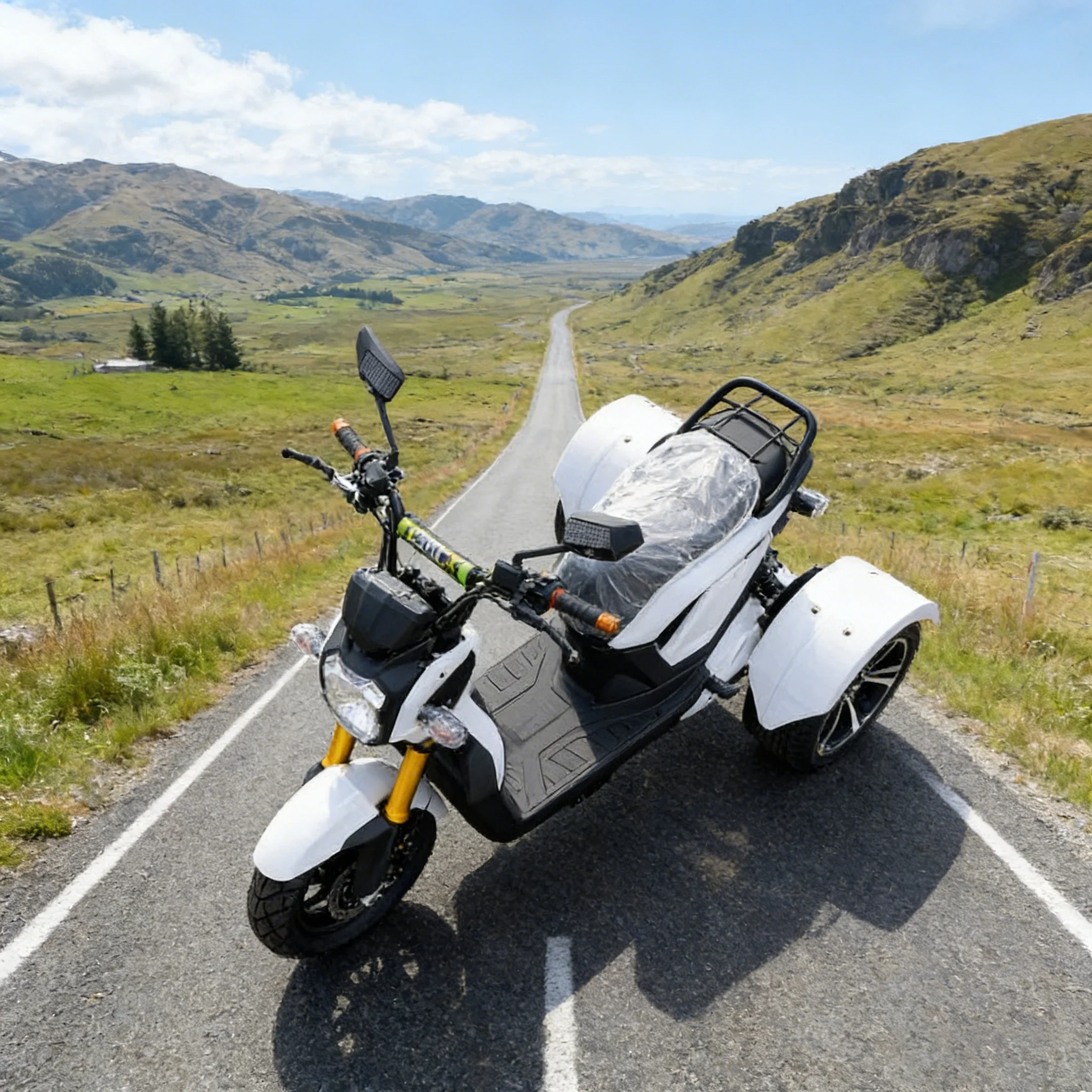 Triciclo Elettrico ad Alta Velocità 70km/h | Triciclo Elettrico a 3 Ruote per Carichi Pesanti e Triciclo Elettrico Economico e Conveniente con Autonomia di 65 km