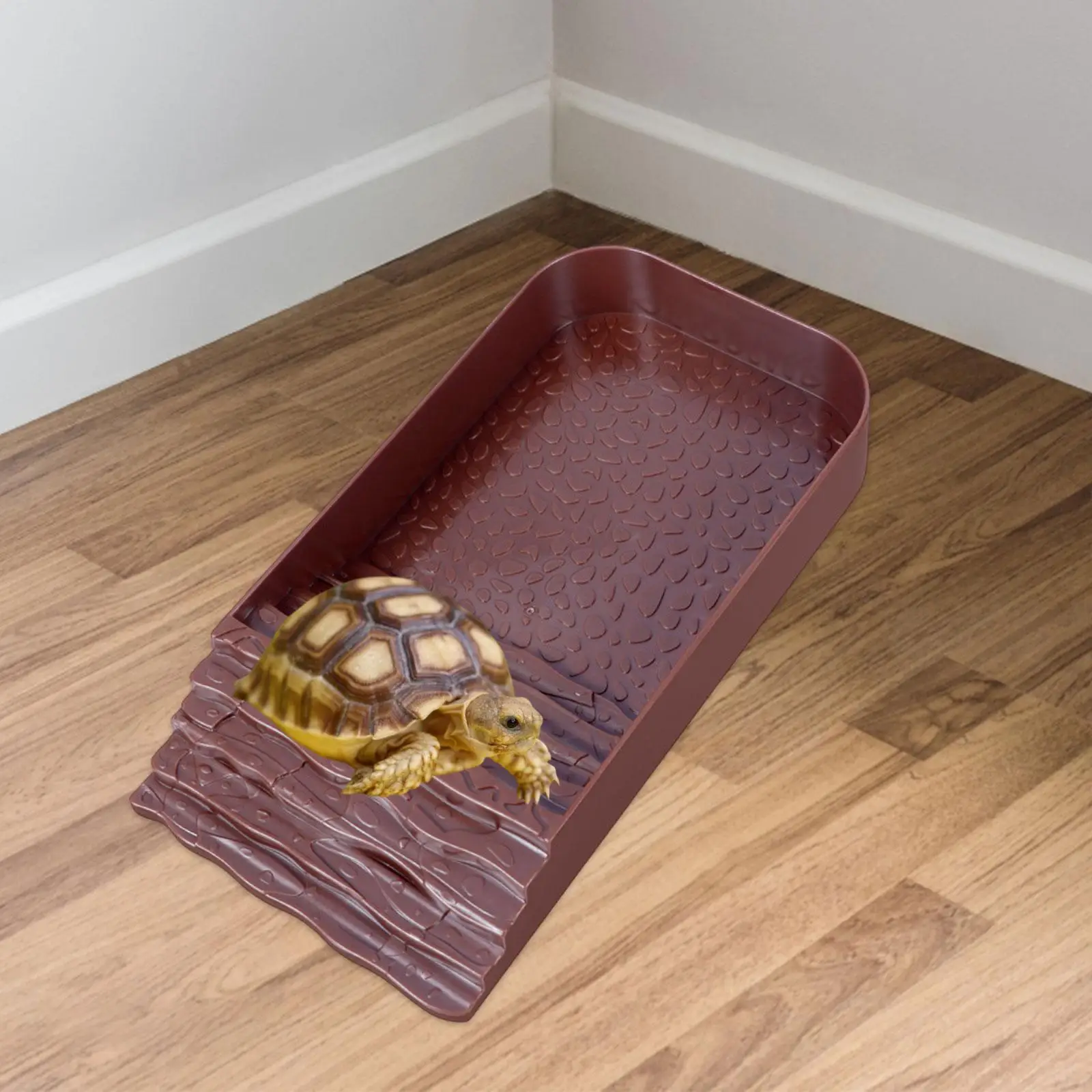 Reptile Water Bowl Accessories Reptile Pool for Tortoise Chameleon Scorpion