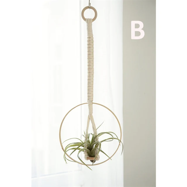 Air Plant Holder B
