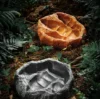 Dinosaur Skull Reptile Pet Hideout Snake Hideout Lizard Basking Platform Reptile Pet Terrarium Aquascape 4