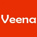 WILOWHKY Veena ART Store